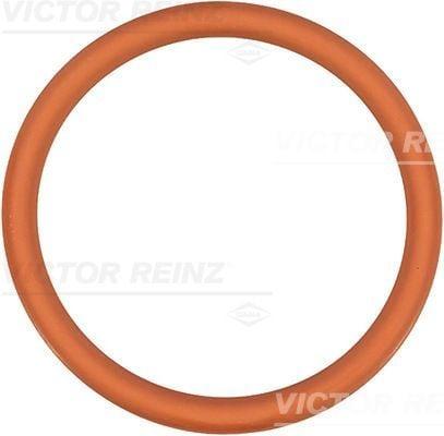 Victor Reinz Emme Manifold Gasket - Compatible with 106 206 1.4I 8V — Gaskets & Seals