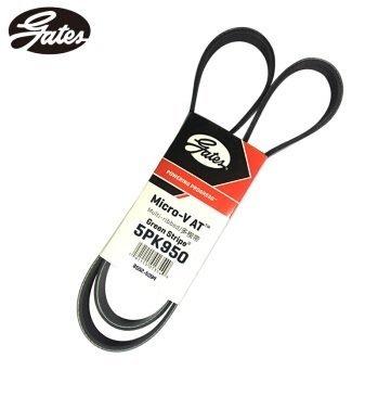 Continental CTAM 5PK950 - BMW E46 318i AC Belt for M43 Engines — Belts