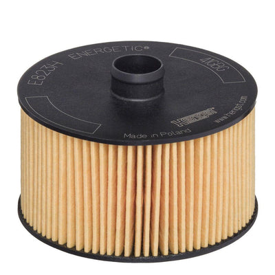 Hengst E823HD263 Oil Filter Clio IV-V Megan III Captur Citan Smart Juke Micra IV Qashqai II 0.9-1.2 TCE 12-