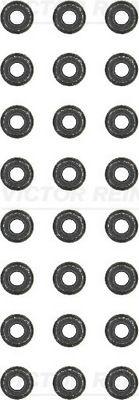 Victor Reinz 12-31306-05 Valve Stem Seal Set Fiat / Opel 1.3 Multijet 6mm 24'lü