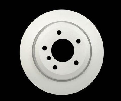 Hella Pagid 8DD355117-831 Brake Disc Rear BMW E87/E90/E92 320-325-328 2004-2011 Set — Brake Rotors & Drums