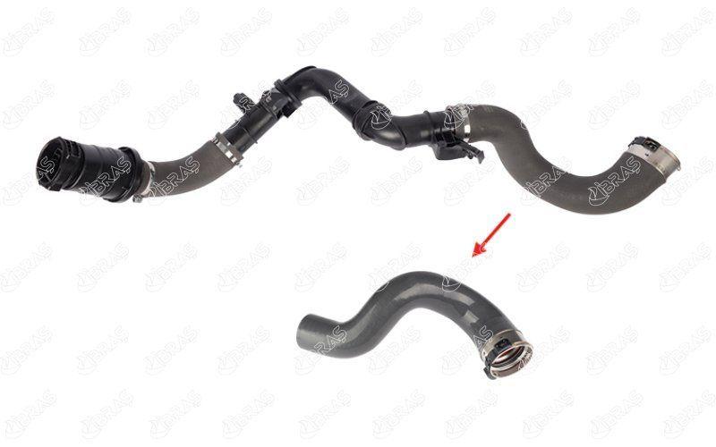 ibra turbo hose for renault traffic iii, IBRAS turbo hose product image, renault traffic iii turbo hose installation IBRAS Turbo Hose for Renault Traffic III 14-1.6 DCI | OEM 6000618731 | Durable & Reliable | Car Owners & Mechanics IBRAS Turbo Hose for Renault Traffic III | 14-1.6 DCI ibra-generated, turbo-hose, renault-traffic-iii, car-repair, mechanics-tools, car-parts, automotive, engine-parts, silicone-hose, auto-accessories