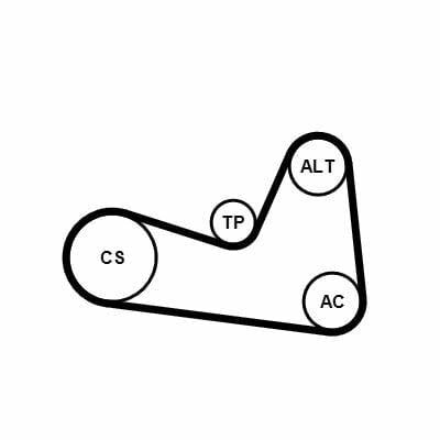 Continental CTAM 6PK1200K1 - Belt Set for Megane II, Clio II, Clio IV and more — Belts