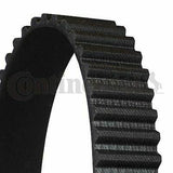 CONTINENTAL CTAM CT869 Timing Belt For 88-96 Passat 1.8-2.0 16V — Belts