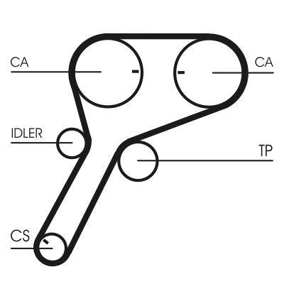 CONTINENTAL CTAM CT1151 Timing Belt Ford — Belts