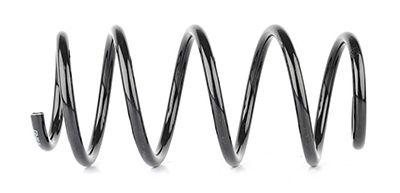 Bsg 65-305-013 Coil Spring Front Combo C 1.3-1.7 02 — Springs