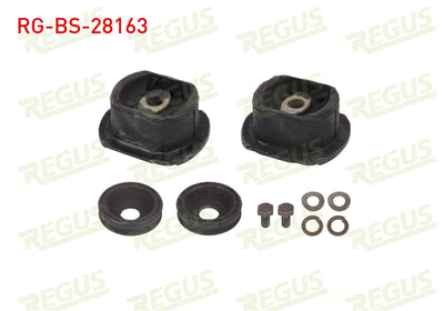 REGUS RG-BS-28163 Subframe Bushing Rear Left-Right Set Mercedes 200 (W123) 2.0 D 1977-1985 — Bushings & Mounts