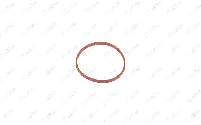 NIFEA 17074 *5 Manifolt Gasket Intake 2008-207-208-3008 I-II-308 I-II-5008 I-II-508 I-II-Rcz Ep6 Mini Coope — Gaskets & Seals