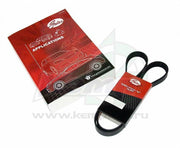 gates chevrolet cruze diesel v belt front view, gates chevrolet cruze diesel v belt installation guide Gates Chevrolet Cruze 2.0 Diesel V Belt - Premium Quality for Car Owners & Mechanics Gates Chevrolet Cruze 2.0 Diesel V Belt gates, chevrolet-cruze, 2.0-diesel, v-belt, car-parts, mechanics, automotive, engine-parts, replacement-parts, ai-generated
