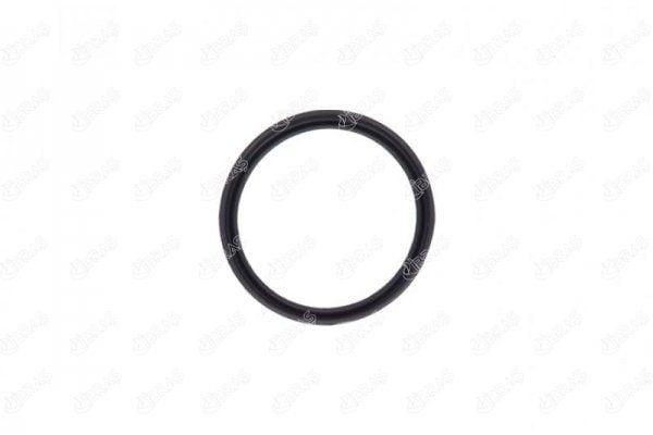 IBRAS Turbo Hose Gasket - Renault Fluence 1.5 dCi & Megane III 1.5 DC — İbraş, Turbo & Supercharger