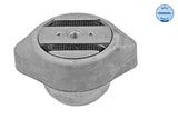 MEYLE Transmission Mount for VW Passat, A4 & A6 - Hydraulic Support for 96-04 Models — Mounts