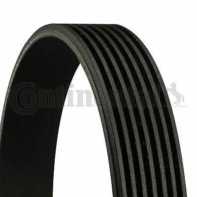 Continental CTAM 7PK2255 — Belts