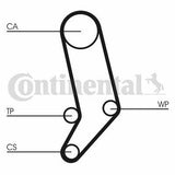 Continental CTAM CT939K2 - Timing Belt Set for TK 91-T Porter T4 2.4D — Belts
