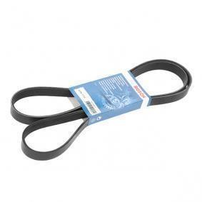 Bosch V-Belt for Volkswagen Jetta 2006-2015 CAX Engine — Belts
