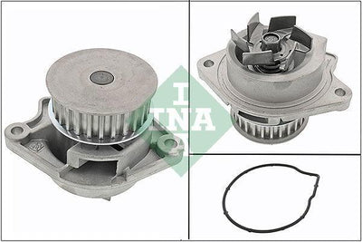 INA 538002610 Water Pump - VW Polo 1.4 16V Models — Water Pump & Thermostat