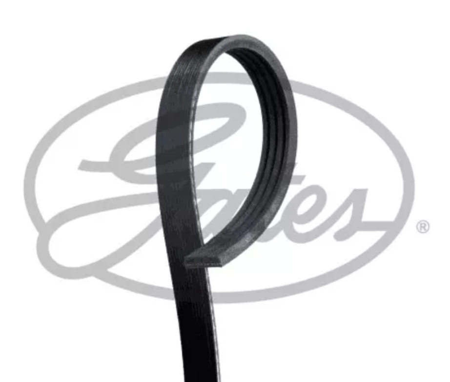 GATES V Belt 4PK1483 for 92-00 Transit — Belts