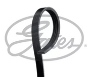 GATES V Belt 4PK1483 for 92-00 Transit - Durable and Reliable | Black