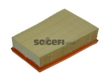 Purflux A1317 Air Filter Nissan Qashqai 1.6-2.0 dCi 07-12 / X-Trail 08-12 / Koleos 07-12 — Air & Cabin Filters