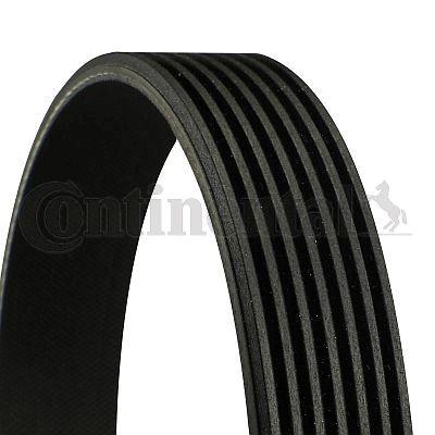 CONTINENTAL CTAM 7PK1035 V-Ribbed Belt Clio III Modus Twingo II 1.2 16V — Belts