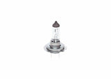 BOSCH Pure Light H18 Automotive Bulbs - 12V 65W PY26d-1 — Gaskets & Seals