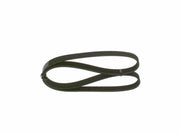 bosch 1987947945 kanalli kayis, bosch ribbed belt 6Pk1165 BOSCH Kanallı Kayış 6Pk1165 - 6-Ribbed Belts for Car Owners & Mechanics | 1165 mm BOSCH Kanallı Kayış 6Pk1165 | Automotive Accessory bosch, kanalli-kayis, automotive-accessories, v-belts, car-maintenance, mechanics, 6pk1165, car-owners, replacement-parts, ai-generated