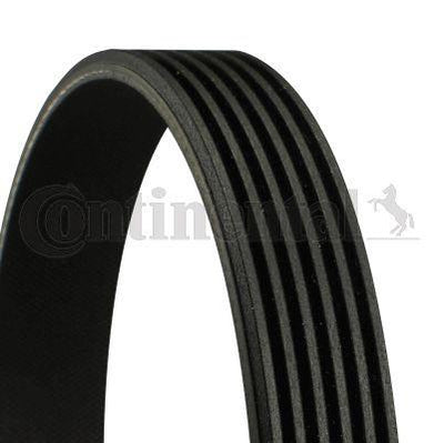 Continental CTAM 6PK2215 V-Belt for M.Benz M651 — Belts