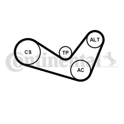 CONTINENTAL CTAM 6PK1050K1 V-Belt Set — Belts