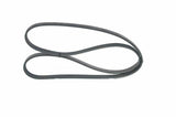 BOSCH V Belt - Durable 4 Rib Design for 1991-1999 Clio 1.2-1.4 — Belts