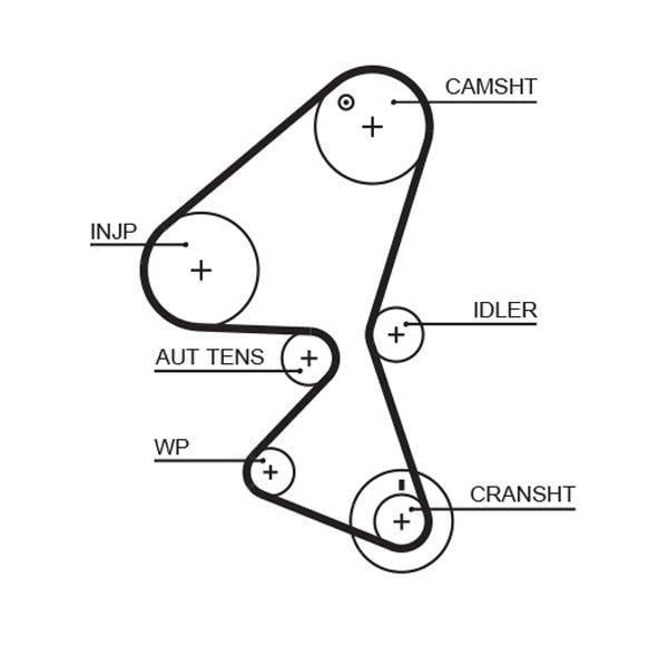 GATES 5598XS Timing Belt - 1.6HDi 16V — Belts