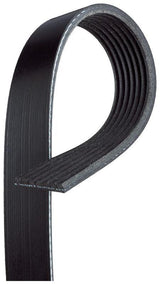GATES 7PK1178 Multi-Ribbed Belt — Belts