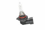 BOSCH HB3 60W 12V Eco Bulbs - 10 Pack — Headlights