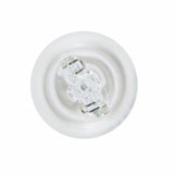 BOSCH W16W 12V 16W Light Bulb - Pure Light — Bulbs & Interior Light