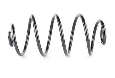 Bsg 65-305-017 Coil Spring Rear Astra G Bm 98-07 — Springs