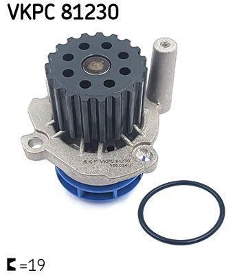SKF VKPC81230 Water Pump Ford Galaxy A3 A4 A6 Octavia Superb Beetle Golf IV Passat Sharan Scirocco — Water Pump & Thermostat