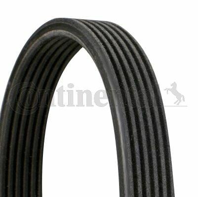 Continental CTAM 6DPK1320 Serpentine Belt for Audi TT 3.2 (2003-2006) — Belts