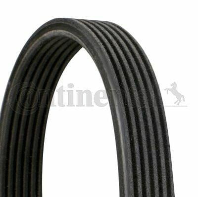 Continental CTAM 6DPK1320 Serpentine Belt for Audi TT 3.2 (2003-2006) — Belts