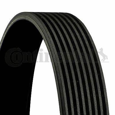 CONTINENTAL CTAM 8PK1635 Serpentine Belt - 8-Ribbed Design — Belts