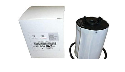 MOPAR (PSA) 1606267680 Fuel Filter Boxer III Jumper III Doblo Ducato III 2.2Hdi — Fuel Delivery