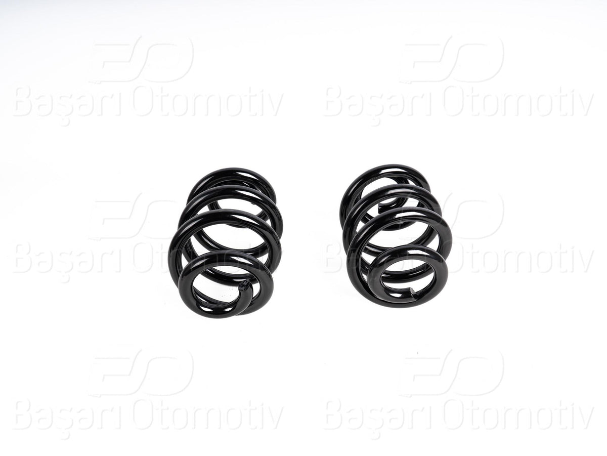 Wisco 1193855-00 Coil Rear (255X166x13,5) VW T5 T6 1.9 2.0 03-19 Caab Caac Cfca Axa Ckja Cxec | Set of 2