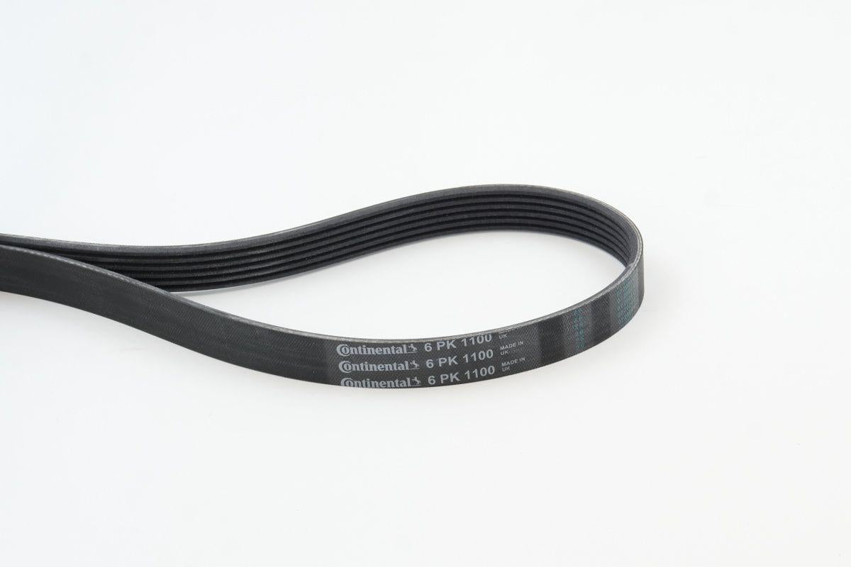CONTINENTAL CTAM 6PK1100 V Belt Golf.III.V.VI-Caddy.II 1.4-1.6 8V-16V + Ac — Belts