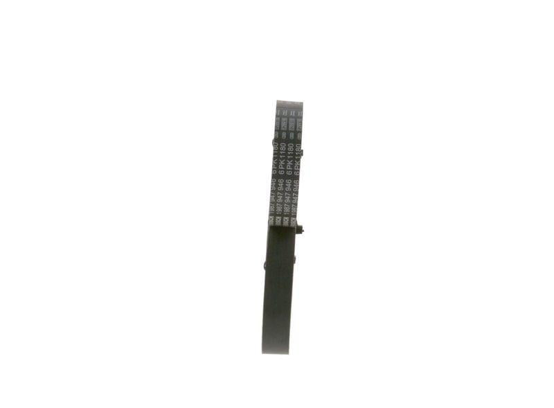 bosch alternator v belt 1987947946 front view, bosch alternator v belt 1987947946 technical specifications BOSCH Alternator V Belt 1987947946 - High Performance For Car Owners & Mechanics | 46.46 in BOSCH Alternator V Belt 1987947946 | Reliable Design bosch, alternator-v-belt, car-parts, vehicle-maintenance, mechanics, car-repair, replacement-parts, high-performance, auto-accessories, ai-generated