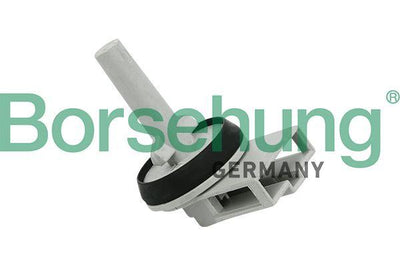 Borsehung B11447 Temperature Sensor Vehicle Inner / A6-A8-Super B-Octavia-T5-T6 (Febi32808) — Temperature Sensors & Switches