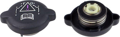 Rapro 66118 Expansion Kavanoz Cover 106 306 405 406 Partner Xsara Saxo