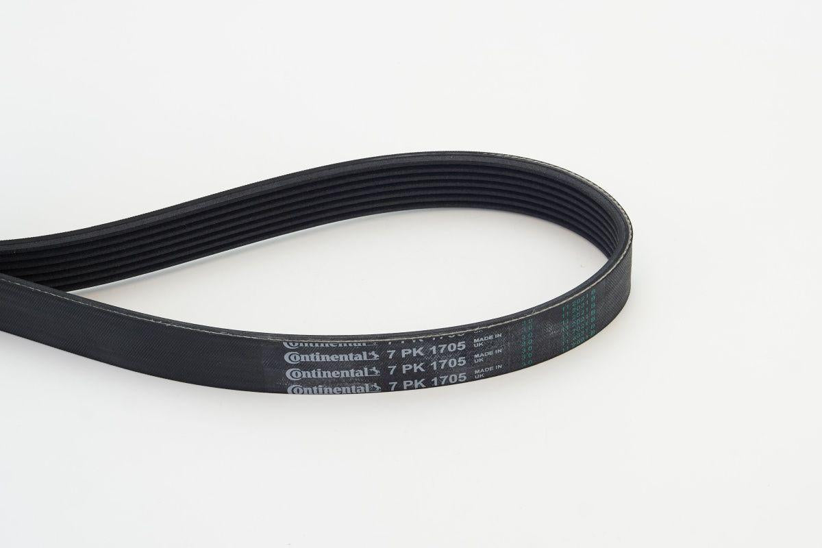 CONTINENTAL CTAM 7PK1705 V Belt 06 > Megane.II.III-Laguna.III-Latitude-X-Trail-Qashqai-Koleos 2.0Dci — Belts