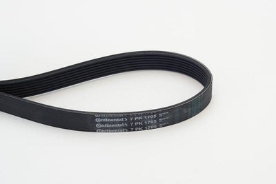 CONTINENTAL CTAM 7PK1705 V Belt 06 > Megane.II.III-Laguna.III-Latitude-X-Trail-Qashqai-Koleos 2.0Dci — Belts