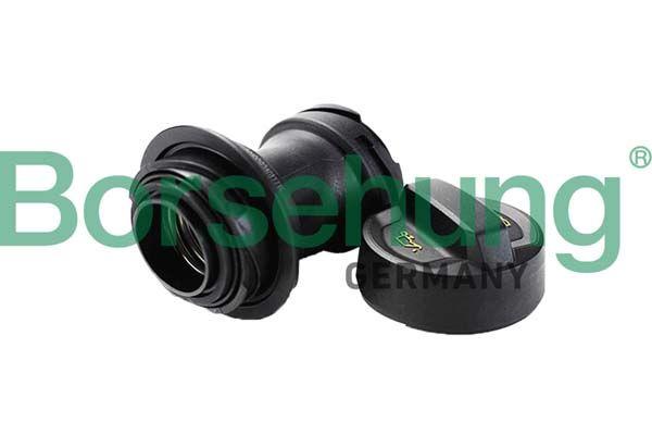 Borsehung B12389 Oil Doldurma Cover + Pipe Complete Audi A3 Tiguan Passat Kodiaq Karoq Octavia III Superb