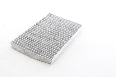 Bsg 25-145-019 Cabin Air Filter Chrysler 300 Bm 04 — Air & Cabin Filters