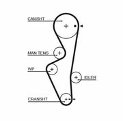 gates 5430xs timing belt for nissan sunny 1.7, gates timing belt specifications and features GATES 5430XS Timing Belt - Reliable Performance for Nissan Sunny 1.7 | Ideal for Car Owners and Mechanics GATES 5430XS - Timing Belt for Nissan Sunny 1.7 | Durable Design timing-belt, gates, nissan-sunny, car-parts, automotive-repair, mechanics, car-owners, reliable-performance, durable-design, ai-generated