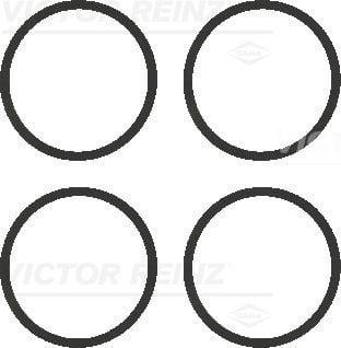 vw polo emission manifold gasket by victor reinz, close-up of victor reinz vw polo gasket, packaging of victor reinz vw polo gasket VICTOR REİNZ VW Polo AEE Emission Manifold Gasket - High Quality for Car Owners and Mechanics VW Polo Emission Manifold Gasket | VICTOR REİNZ gasket, vw-polo, victor-reinz, car-parts, emission-control, mechanics, car-owners, automotive, manifold-gasket, ai-generated