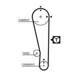 GATES Timing Belt Set for 1986-1994 Fiat 323 — Belts